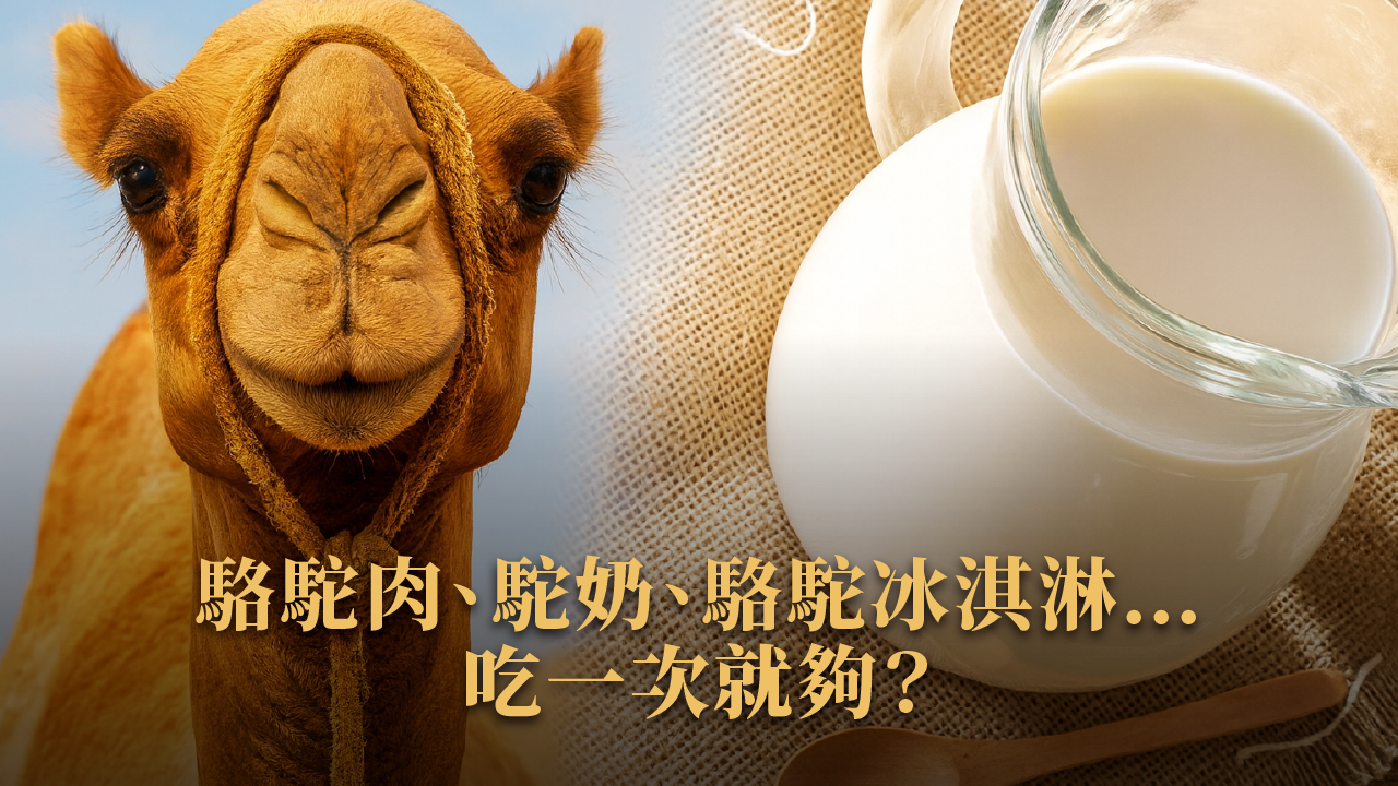 杜拜餐飲文化 × 華人吃什麼全指南｜2025旅遊吃好吃滿不踩雷
