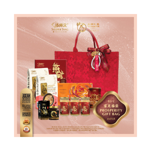 YSBG-02 PROSPERITY GIFT BAG