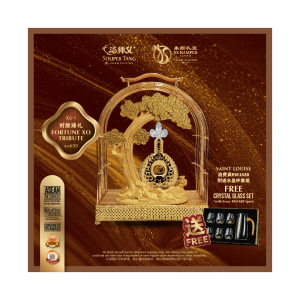 XG-01 FORTUNE XO TRIBUTE