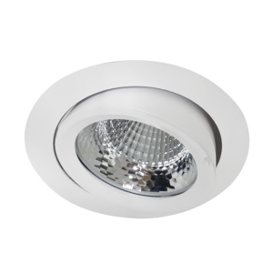 LED Downlight